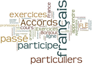 Special agreement of the past participle