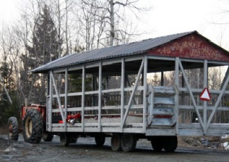 Sugar shack and maple syrup in Quebec announce the arrival of spring!