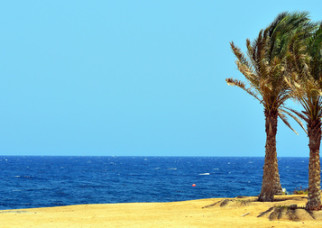 Understanding a tourism advertisement
