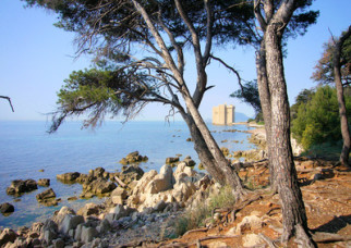 Discover the Lérins Islands