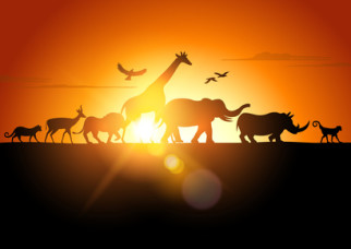Animals and men