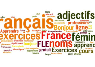 Feminine nouns and adjectives