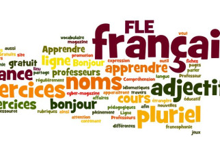 Forming plural nounds and adjectives