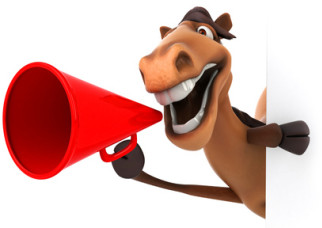 Animal sounds, beginners French