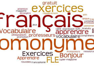 Homonyms in French