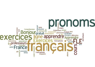 The pronouns EN and Y