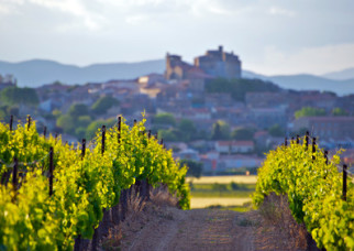 Wines from Provence, Level B1