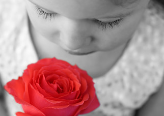 FLE class activity: awakening French through the senses... 'the sense of smell'